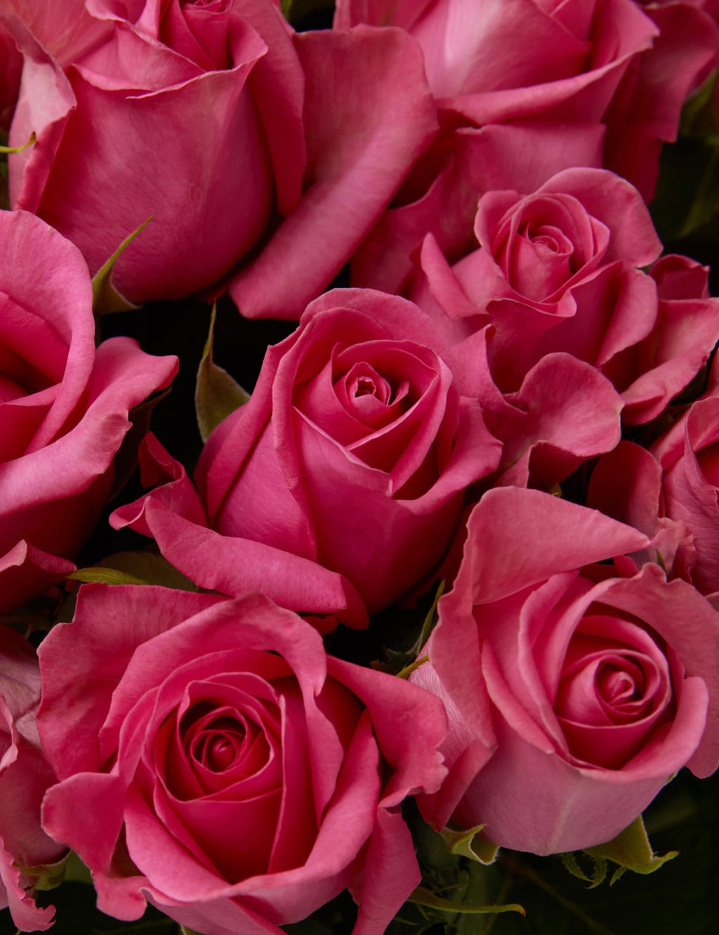 Especially for You Bouquet with Prosecco & Chocolates 3 of 3