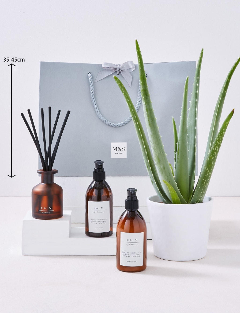Pamper Hamper with Aloe Vera Plant 4 of 4
