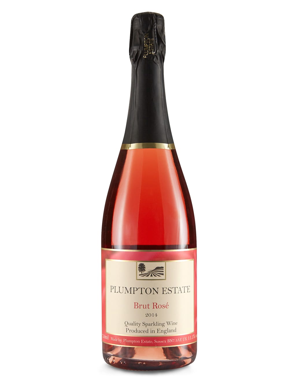 Plumpton Sparkling Rosé - Single Bottle 1 of 1