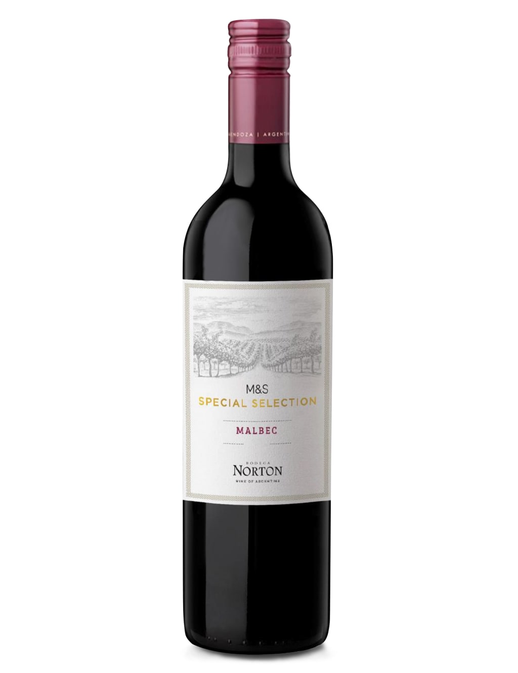 Norton Malbec - Case of 6 1 of 1