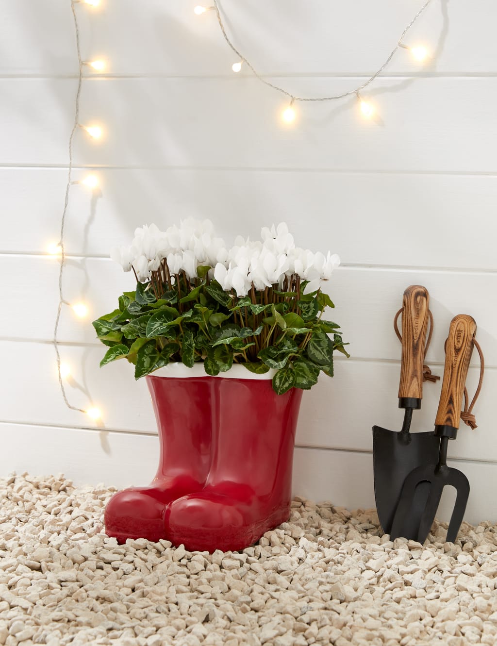 Santa's Flowering Boots Cyclamen Planter 1 of 4