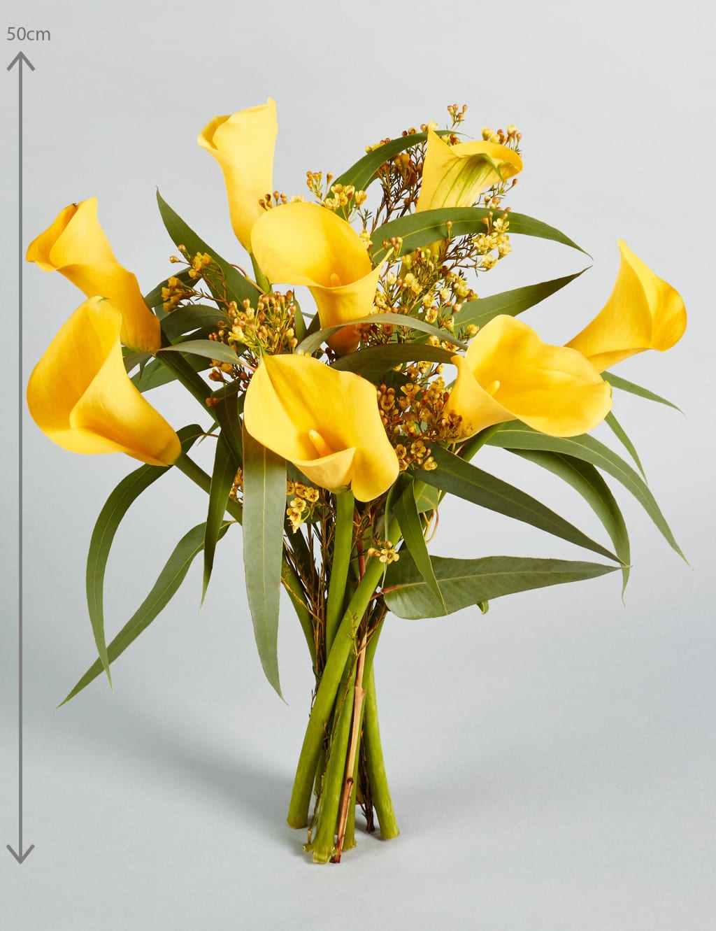The Collection Calla Lilies 2 of 6
