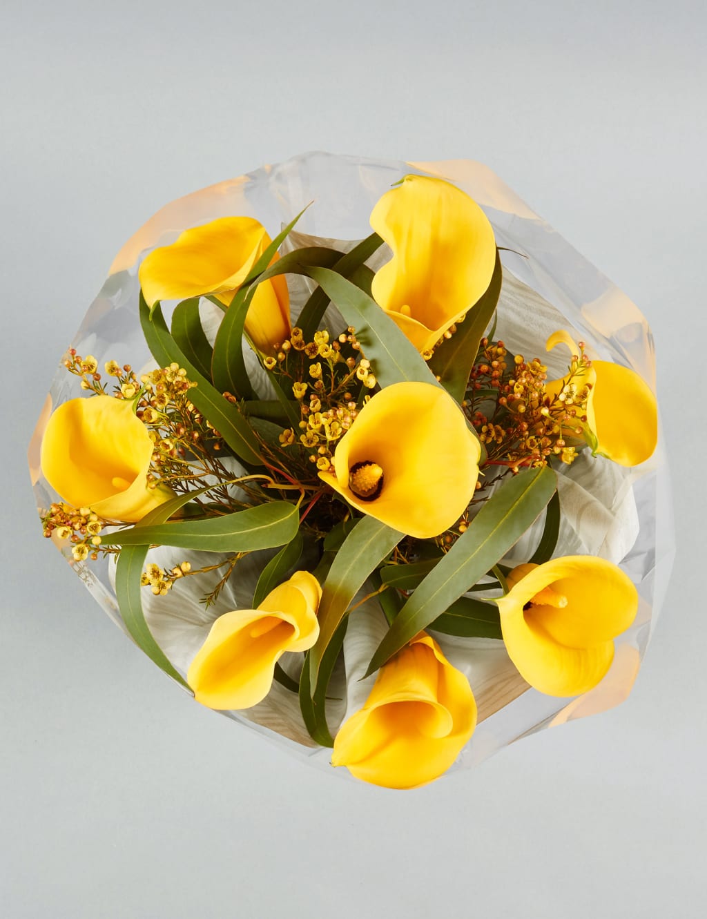 The Collection Calla Lilies 3 of 6