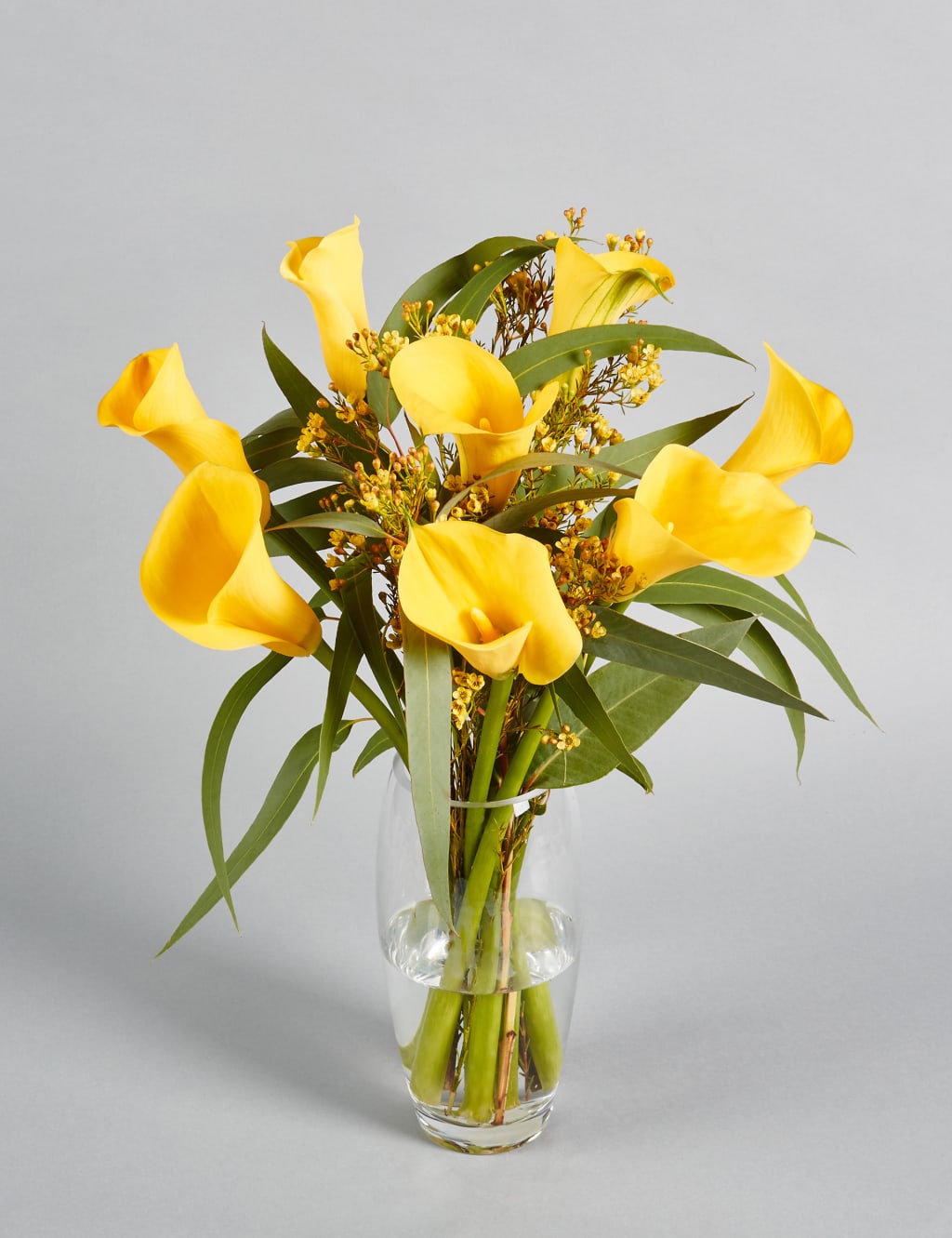 The Collection Calla Lilies 6 of 6