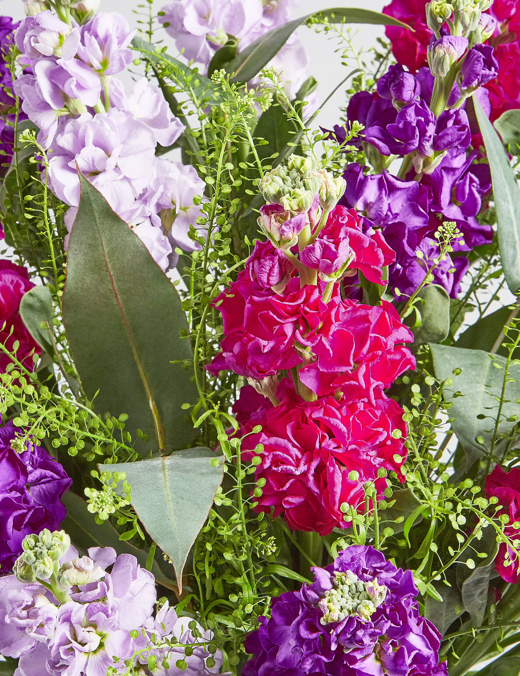 Scented Stocks (Available until 2nd May) 6 of 7