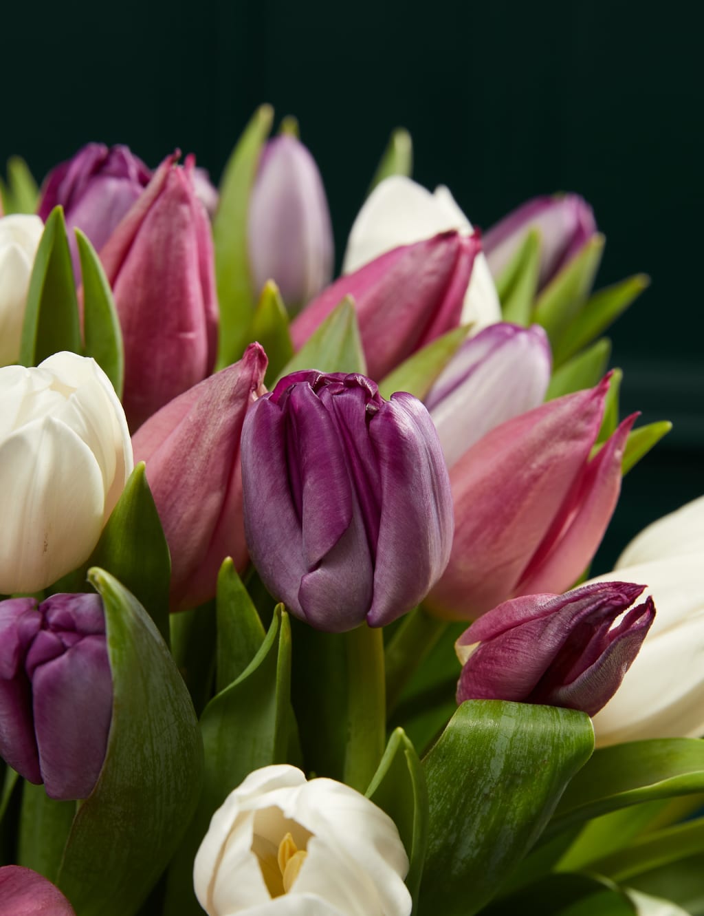 An Abundance of Pastel Tulips Bouquet 3 of 5