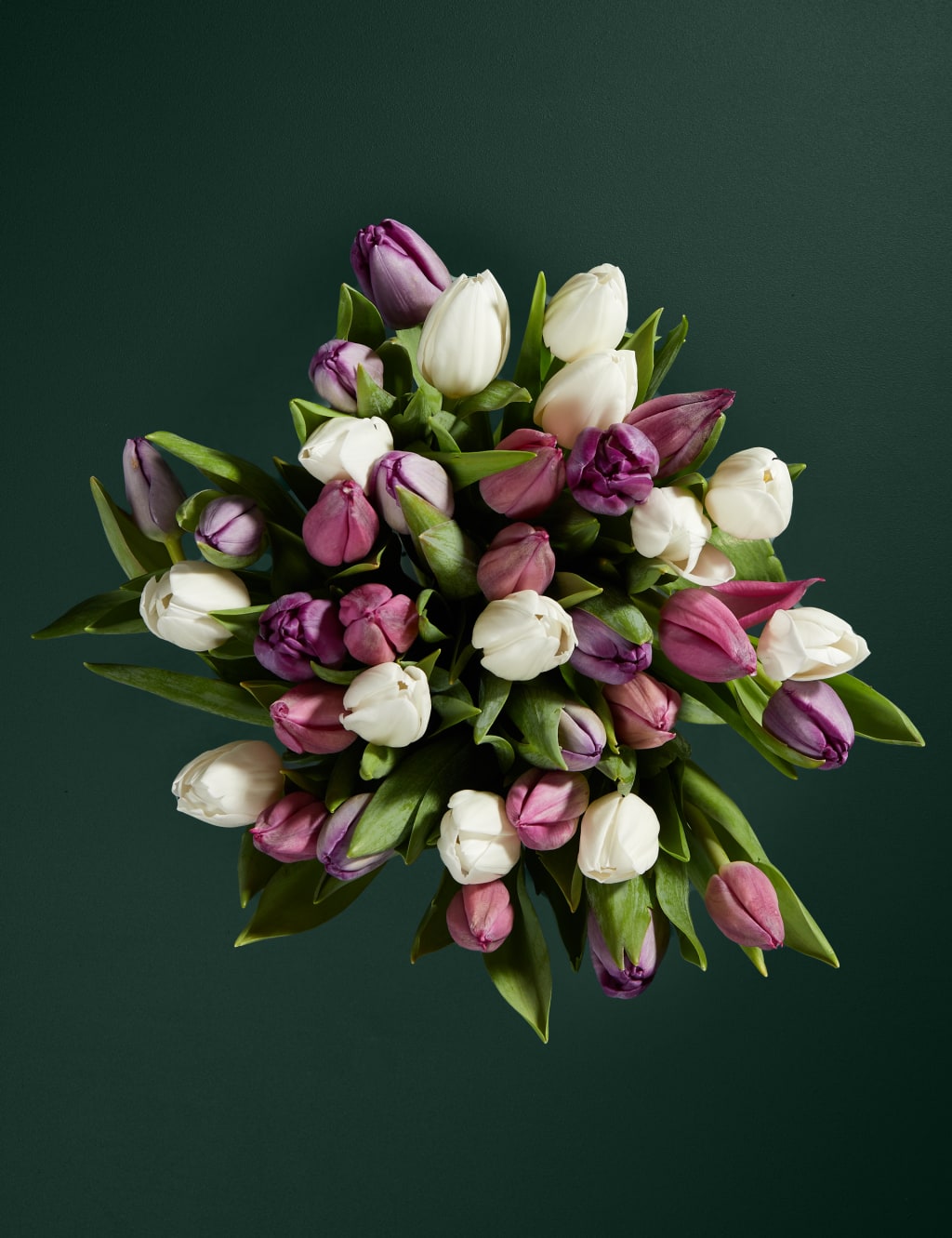 An Abundance of Pastel Tulips Bouquet 2 of 5