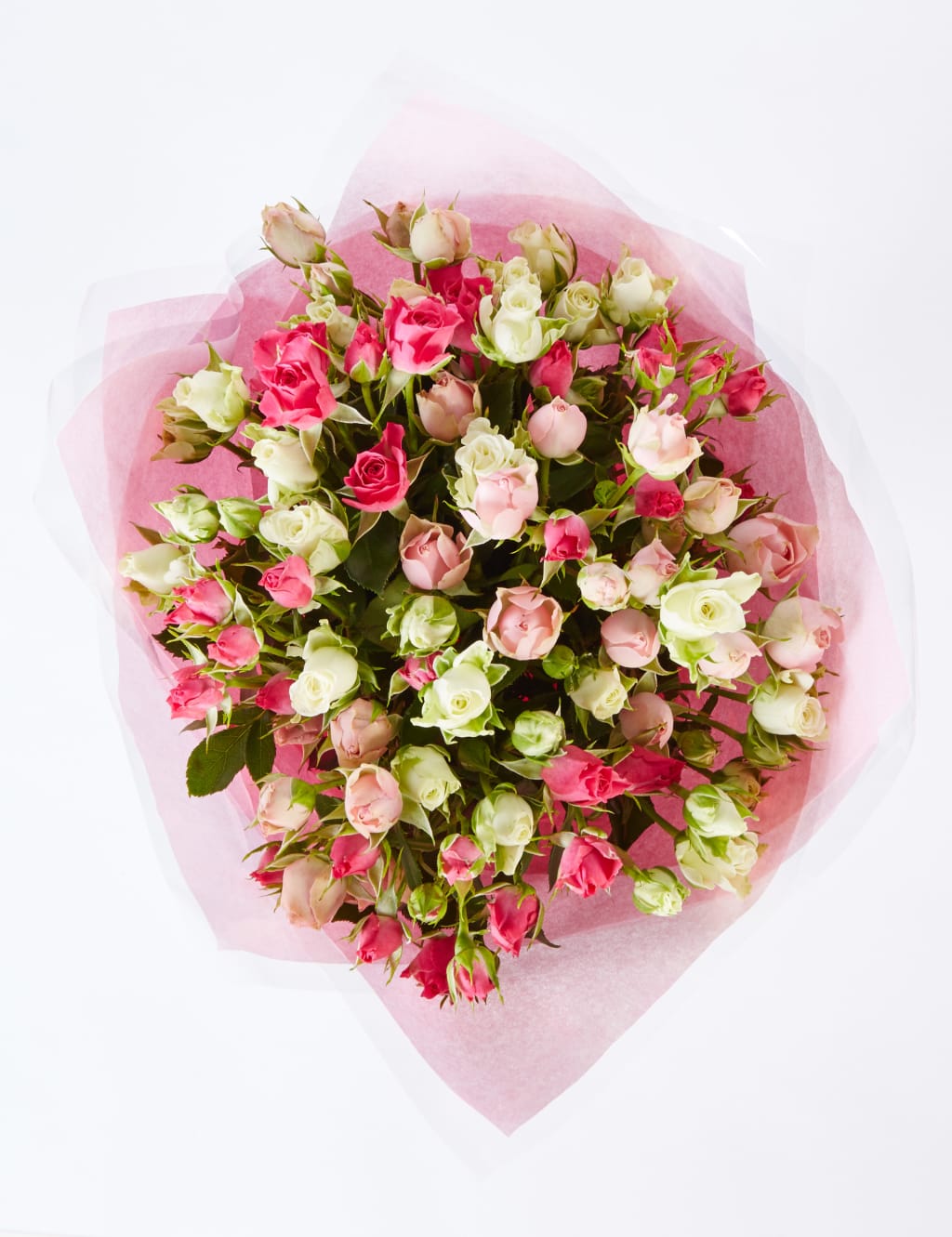 Autumn Pink Spray Roses 3 of 5