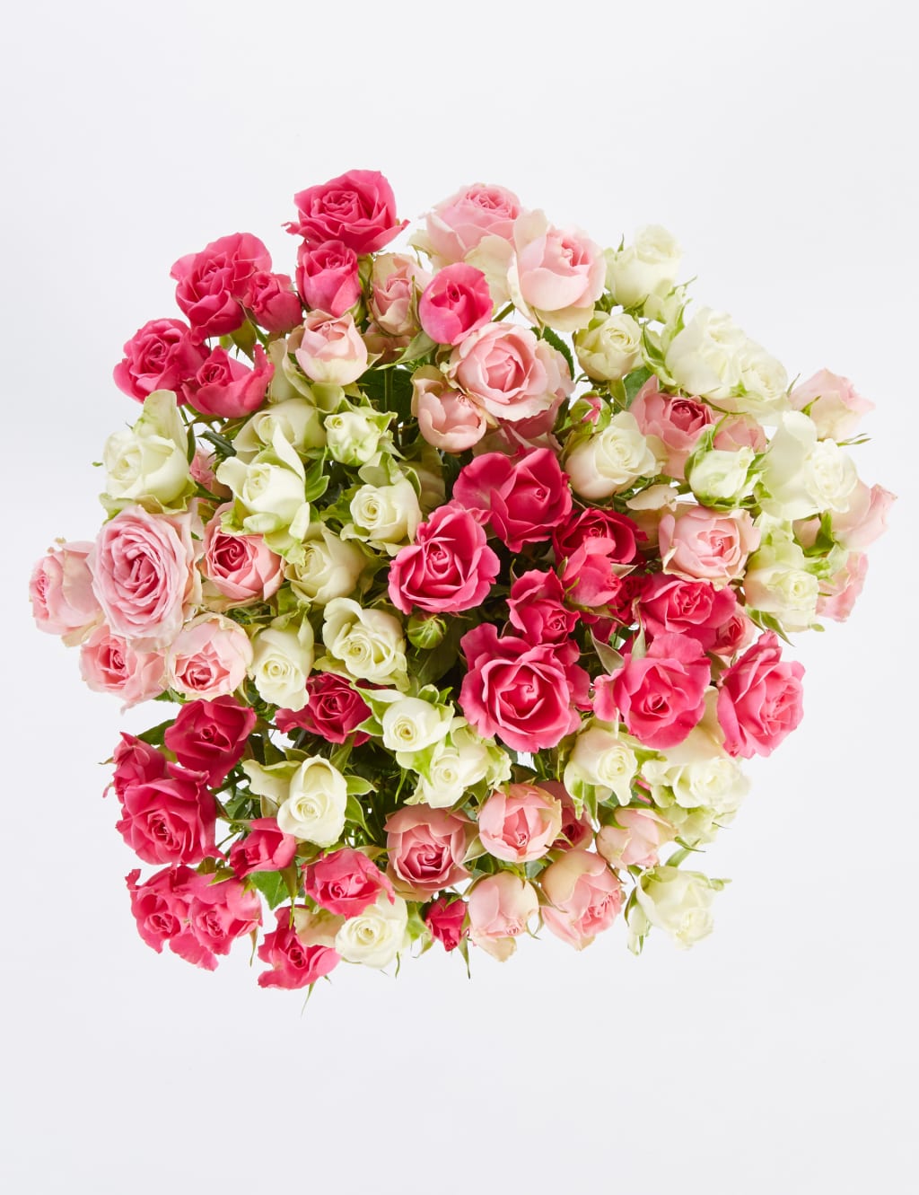 Autumn Pink Spray Roses 4 of 5