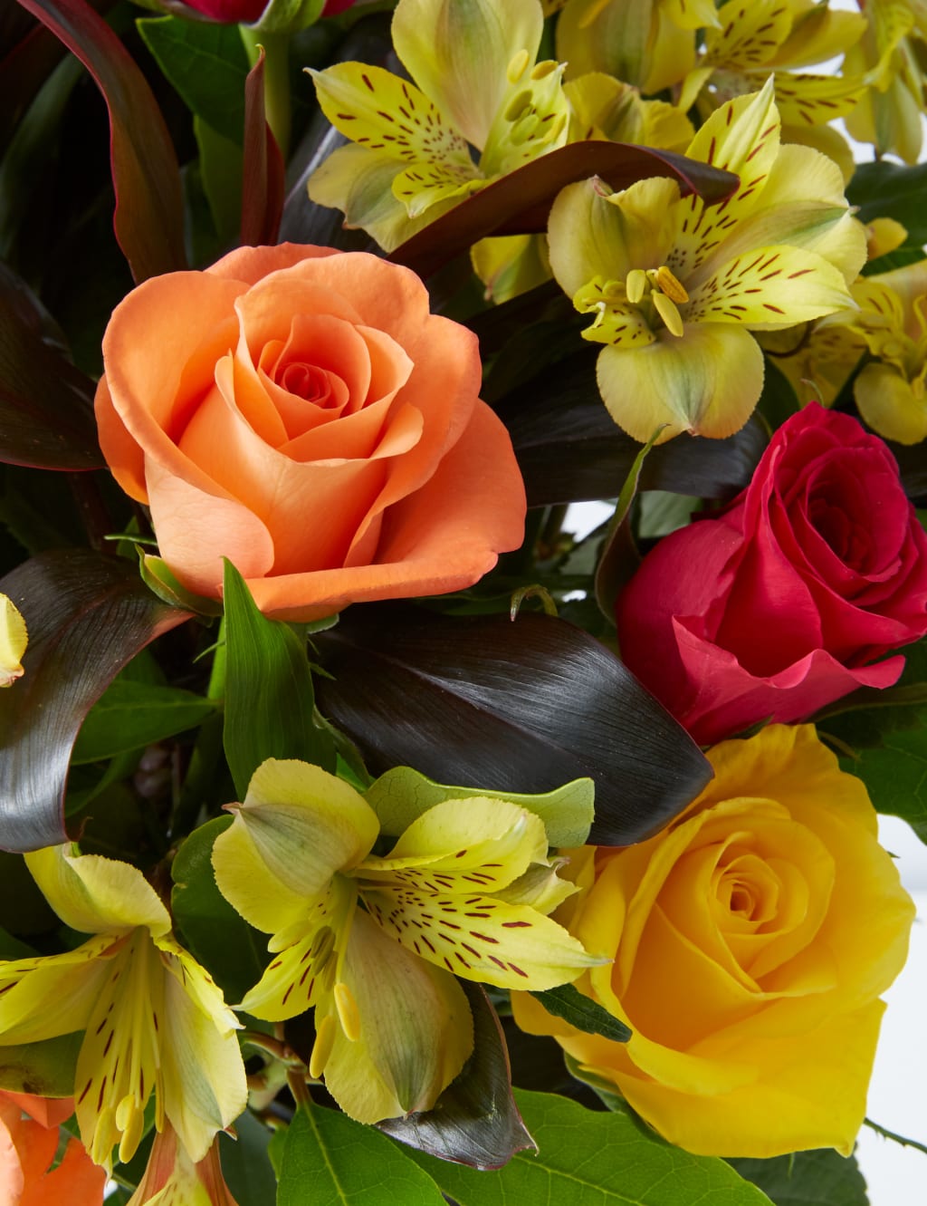 Rose & Alstroemeria Bouquet - Last Chance to Buy 5 of 6