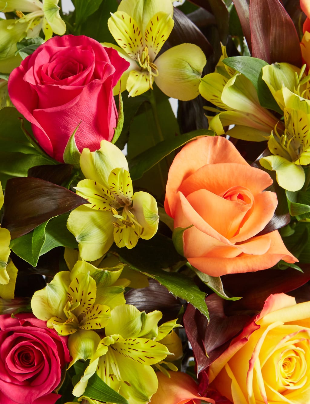 Rose & Alstroemeria Bouquet - Last Chance to Buy 6 of 6