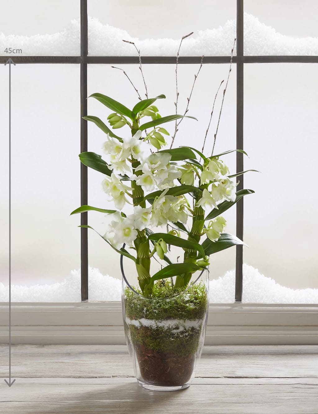 Christmas Orchid Glass 3 of 8