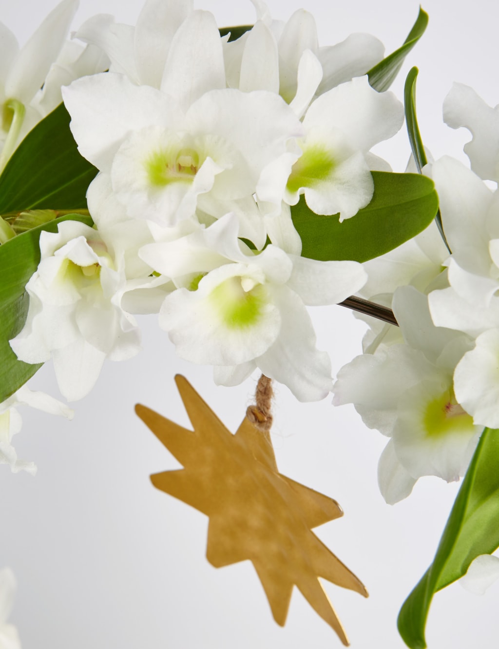 Christmas Orchid Glass 7 of 8