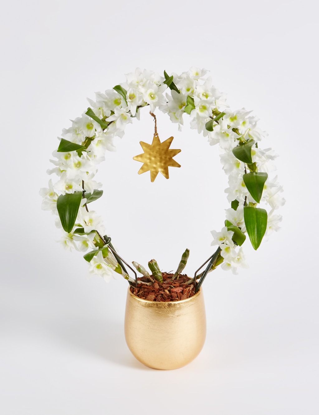 Christmas Orchid Glass 8 of 8