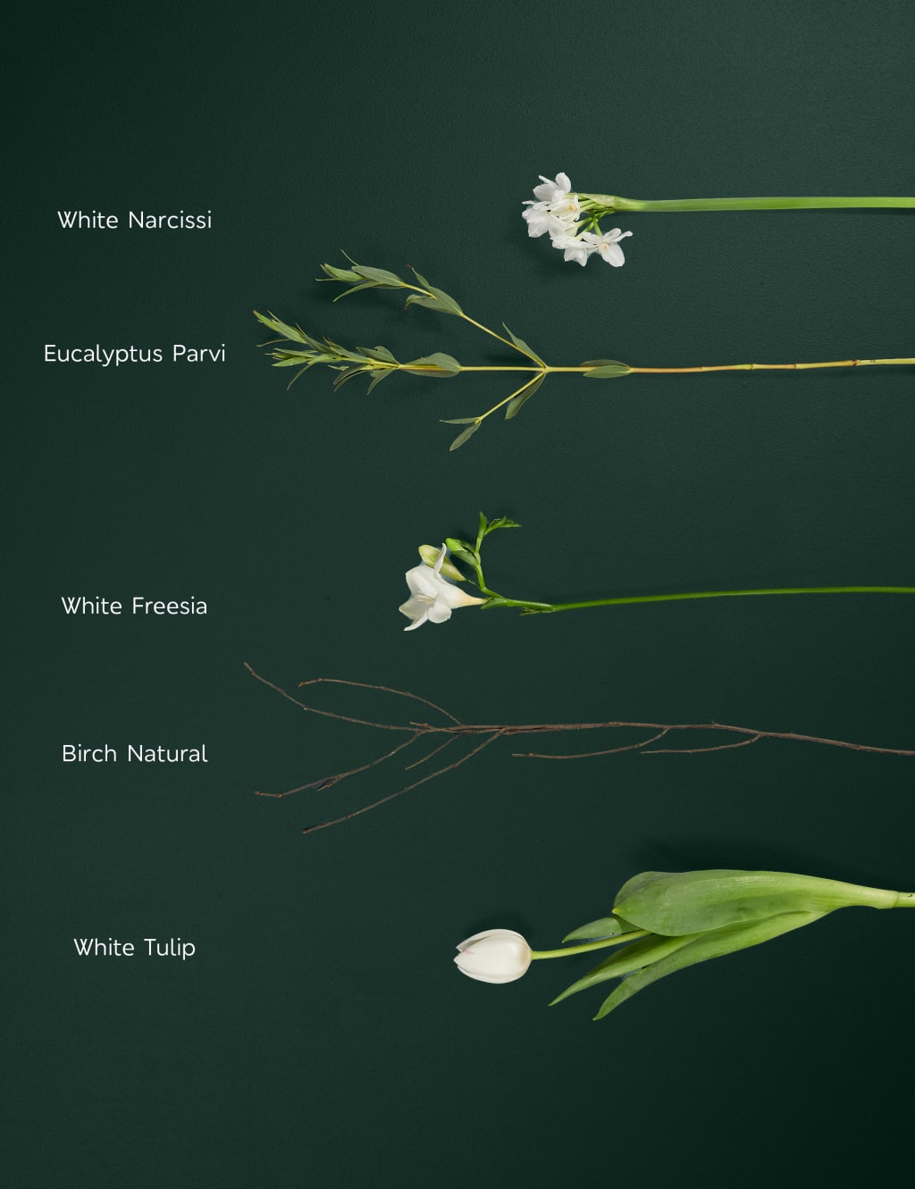 Fragrance & Tulip Posy 4 of 4