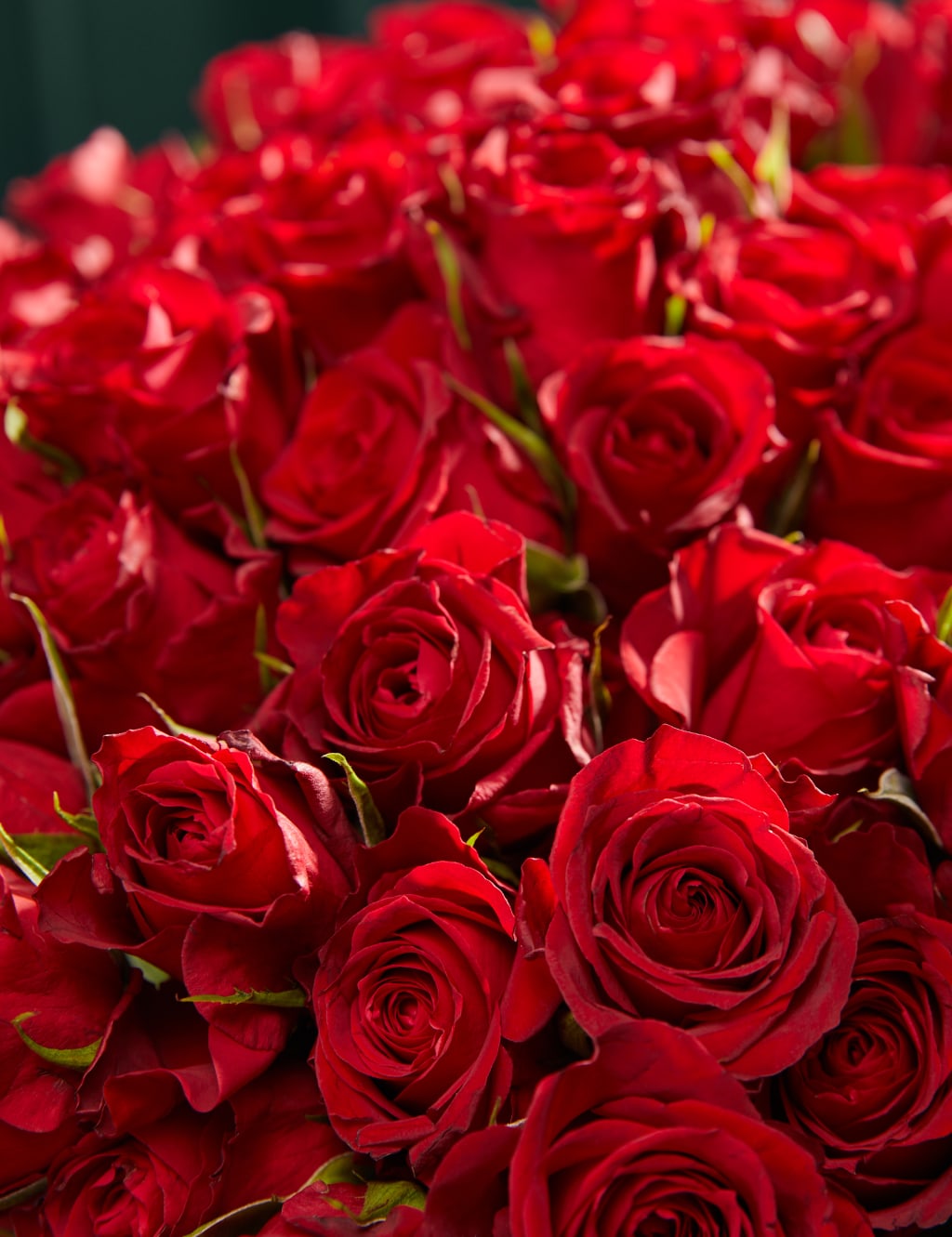 100 Romantic Red Roses Bouquet 4 of 7