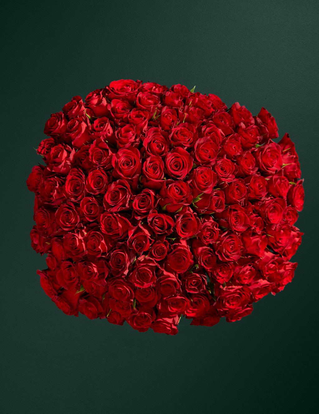 100 Romantic Red Roses Bouquet 2 of 7