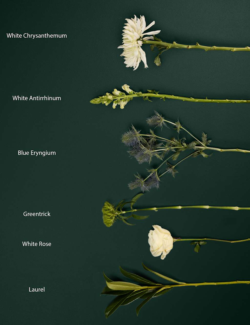 Rose & Seathistle Bouquet 4 of 8