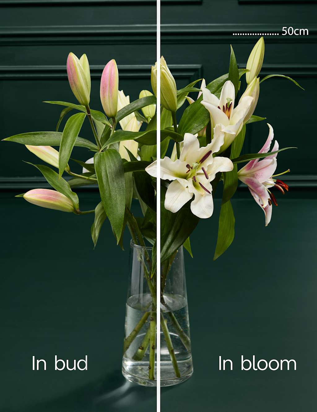 Lily Abundance Bouquet 4 of 6