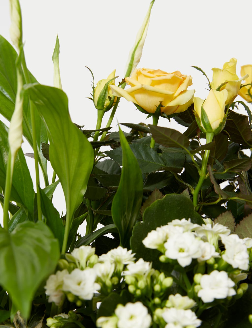 Large Summer Flowering Basket 3 of 4