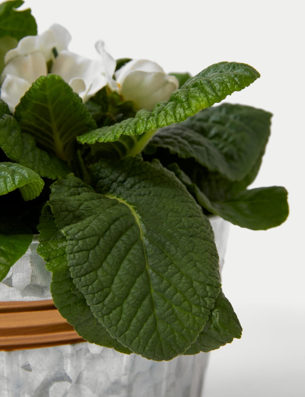 Seasonal Tin Planter 3 of 4