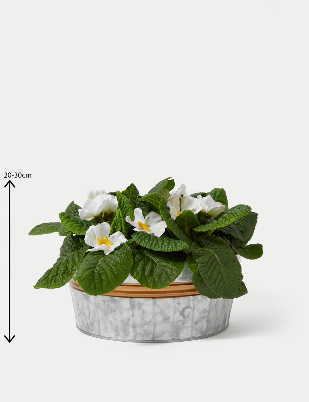 Seasonal Tin Planter 4 of 4