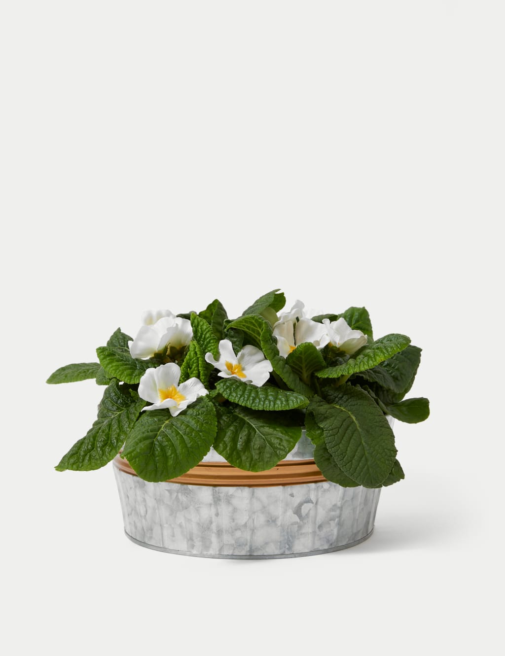 Seasonal Tin Planter 2 of 4