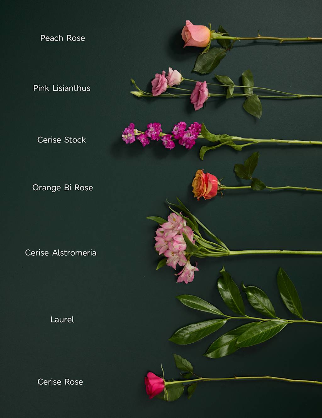 Roses, Lisianthus & Antirrhinum Bright Bouquet 5 of 9