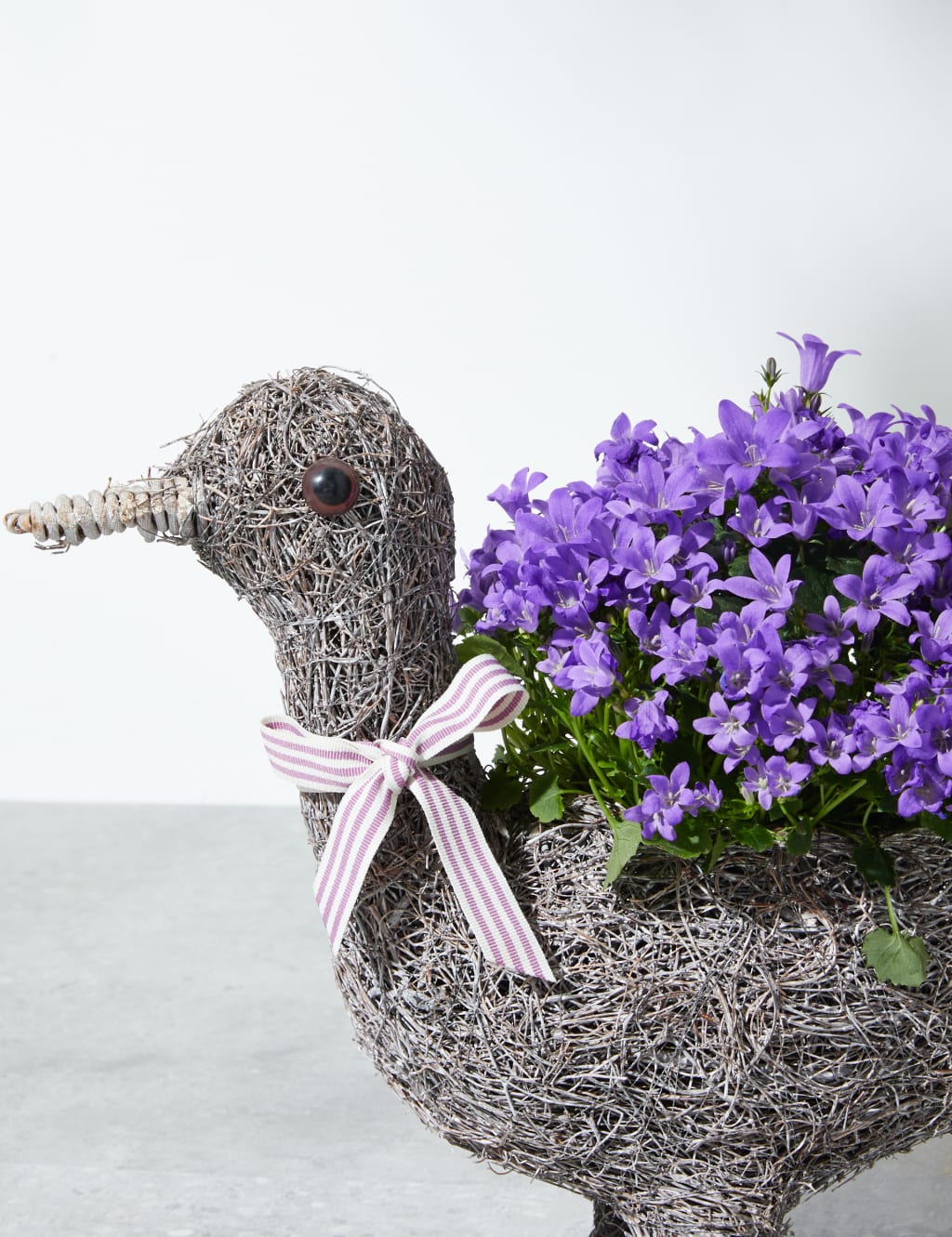 Novelty Duck Planter 4 of 5