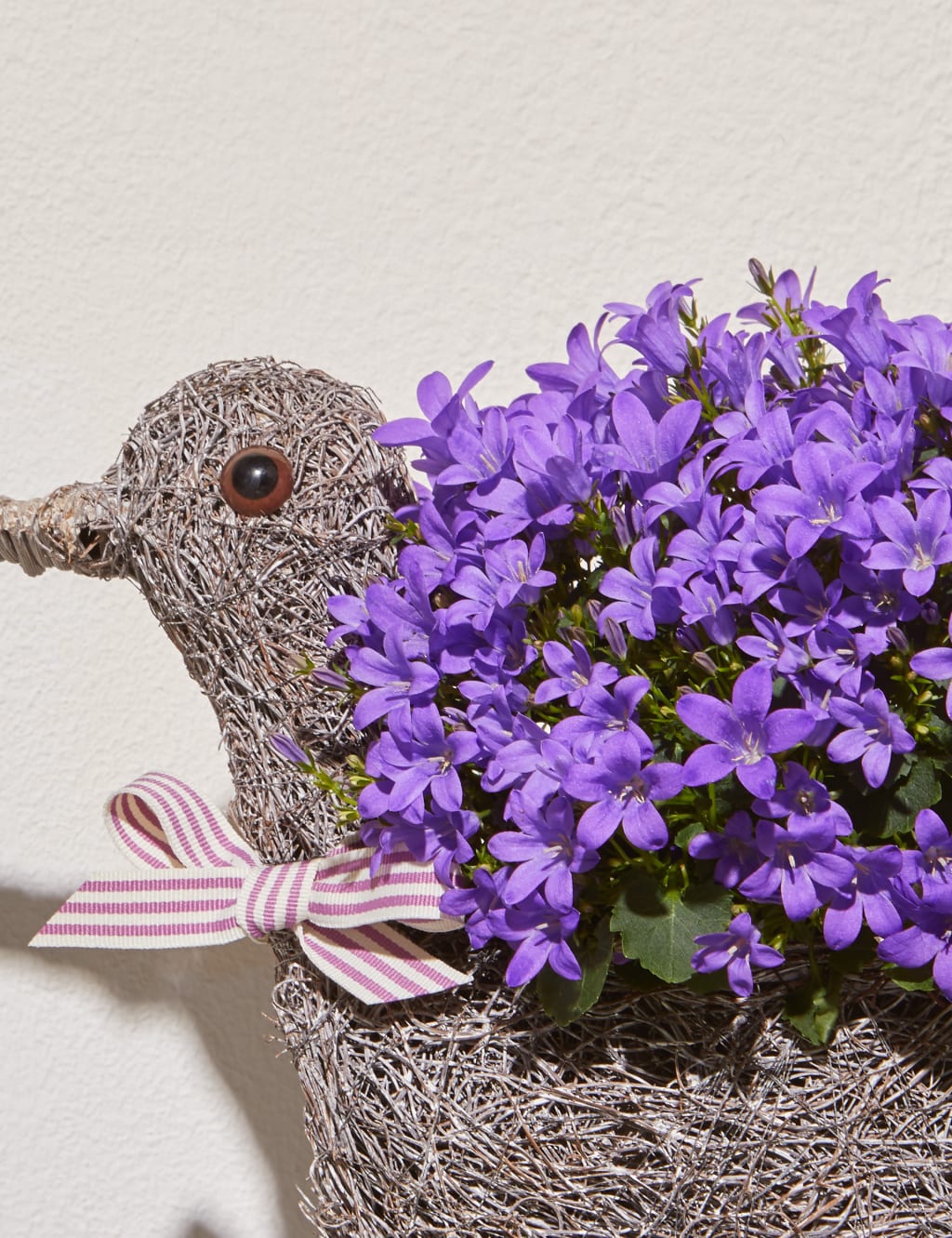 Novelty Duck Planter 5 of 5