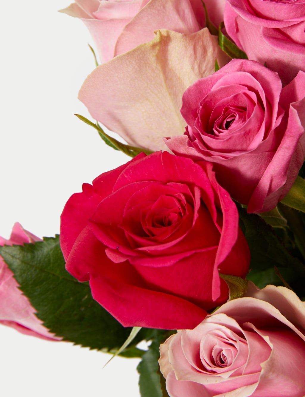 Pink Rose Abundance Bouquet 4 of 7