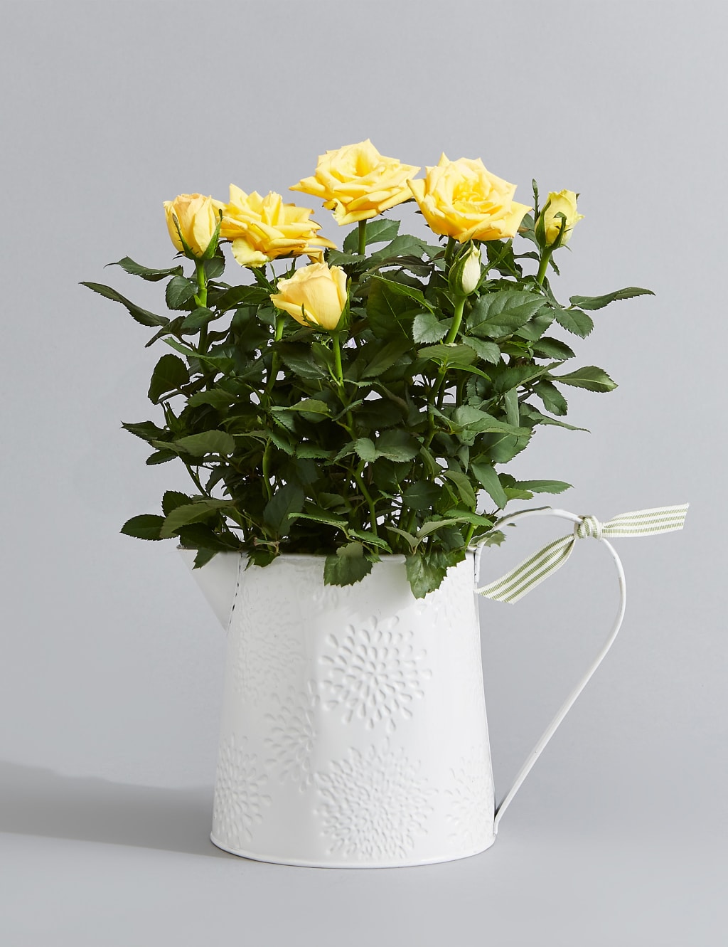 Autumn Yellow Rose Jug 1 of 5