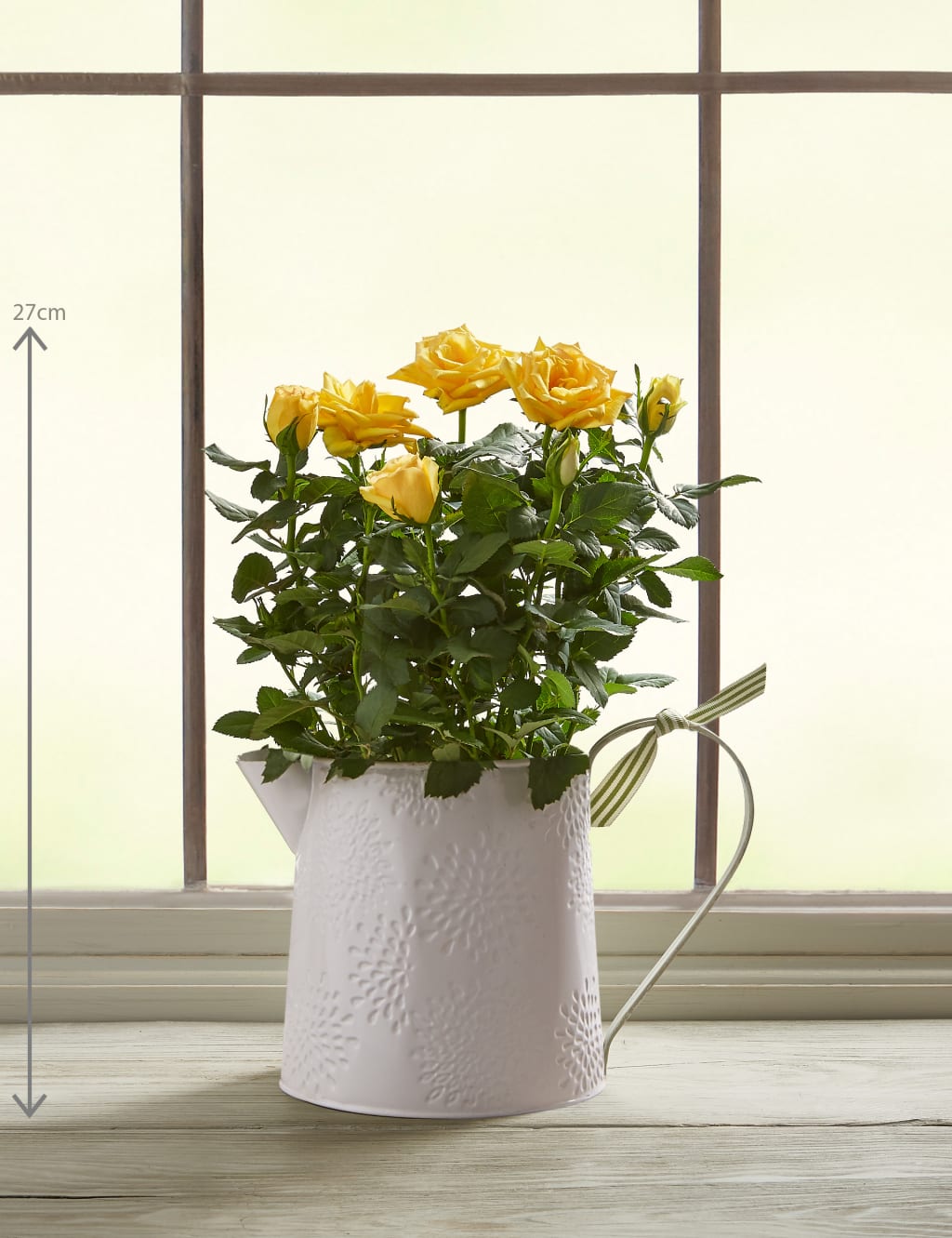 Autumn Yellow Rose Jug 3 of 5