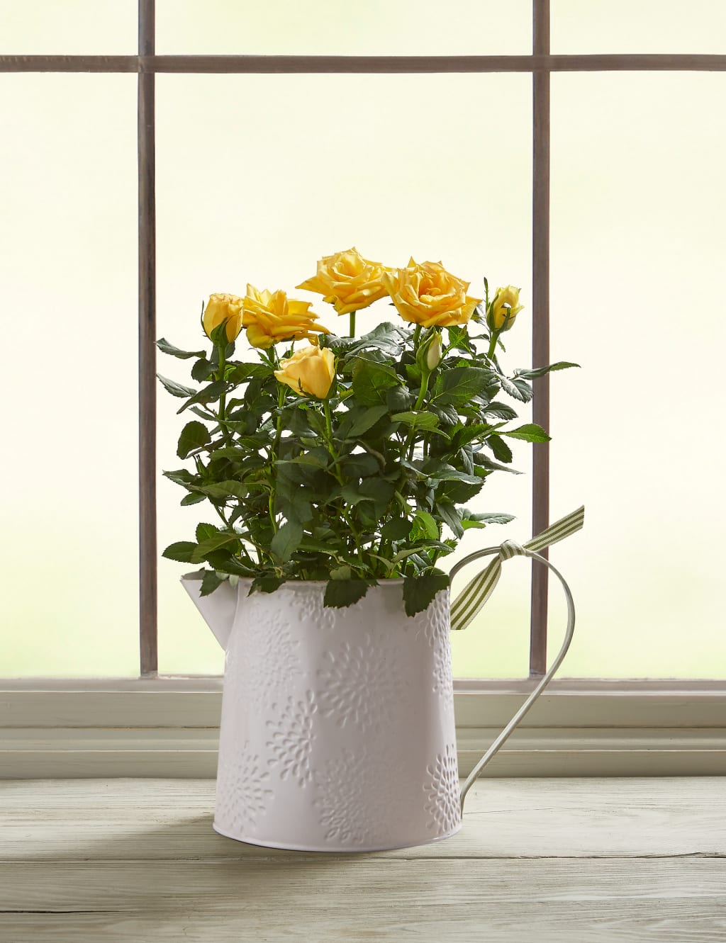 Autumn Yellow Rose Jug 2 of 5