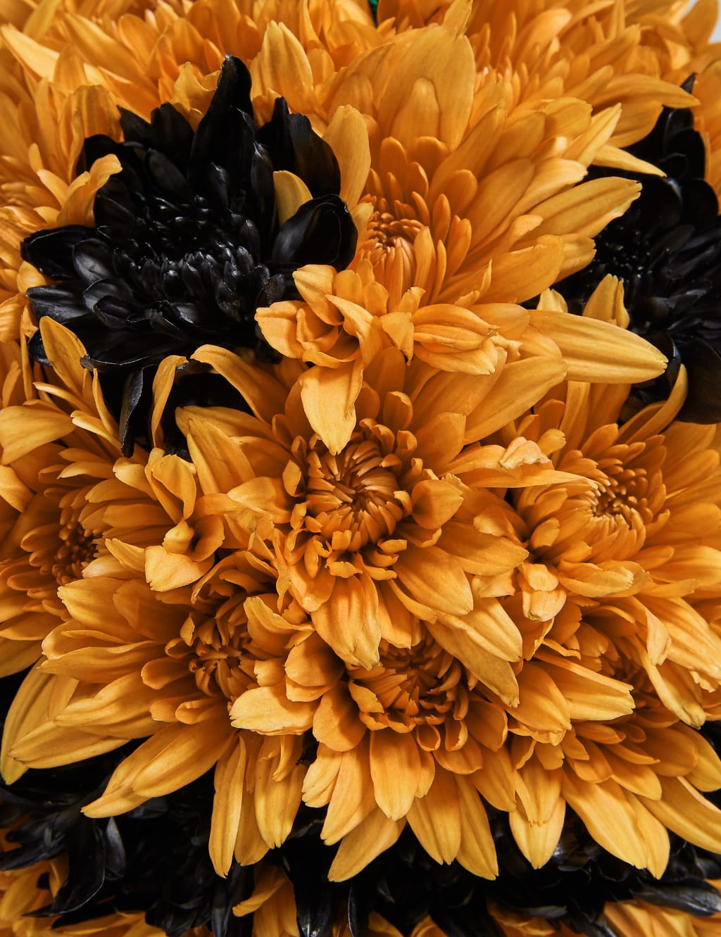Peter Pumpkin Flower Arrangement 5 of 5