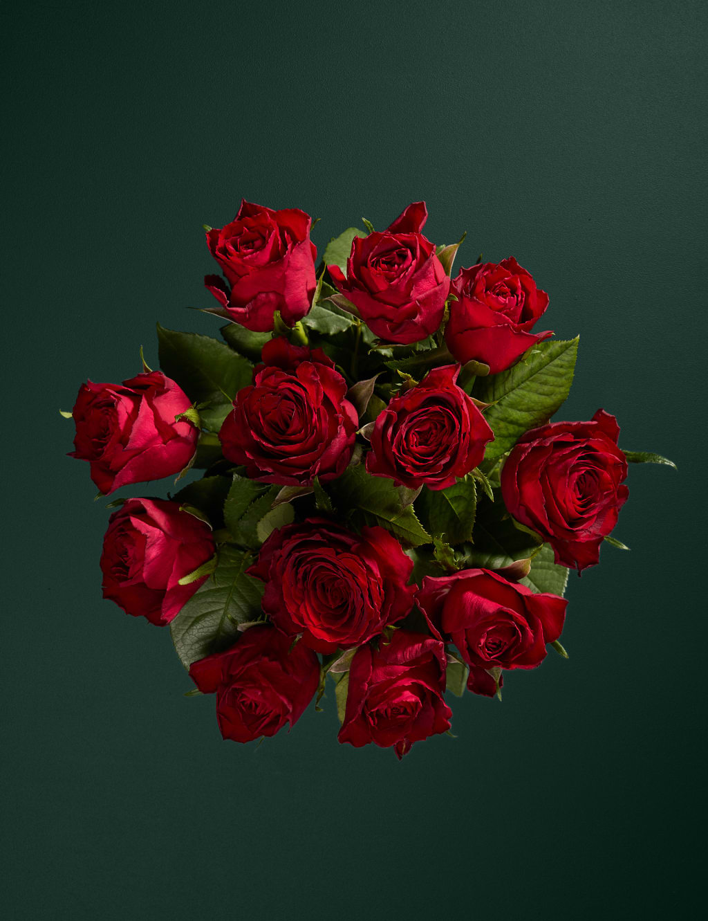 Dozen Red Roses Bouquet with Prosecco 2 of 7