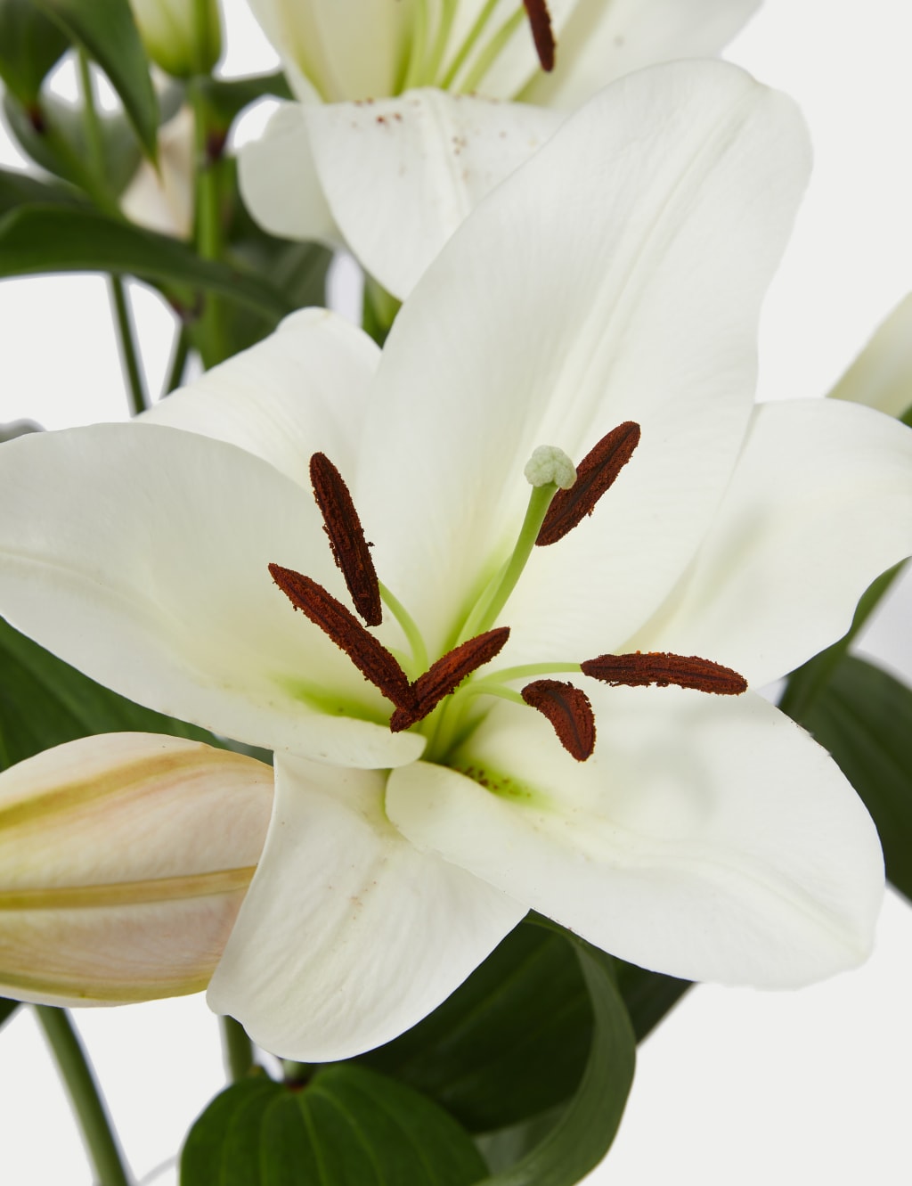 British White Lily Abundance Bouquet 4 of 7