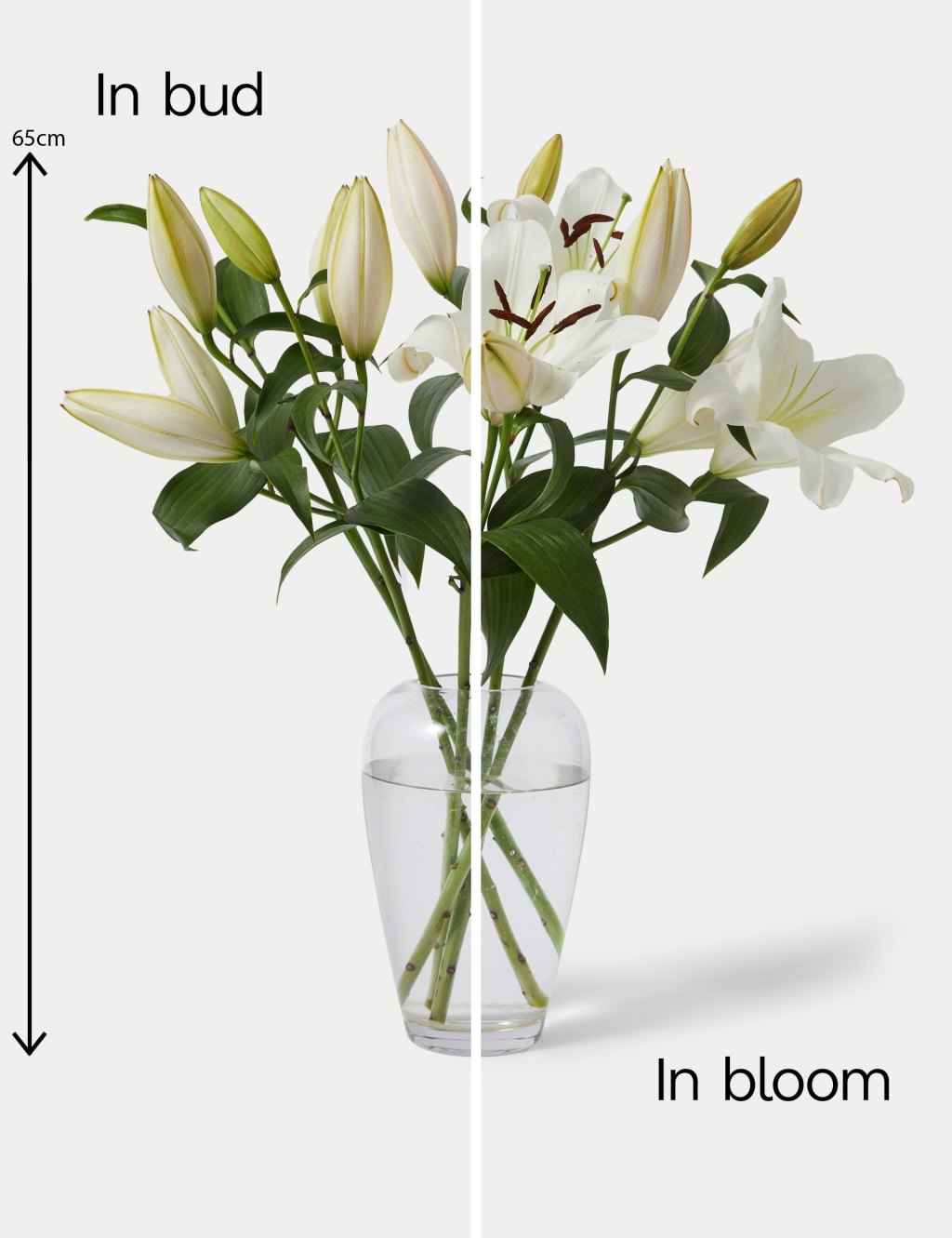 British White Lily Abundance Bouquet 5 of 7