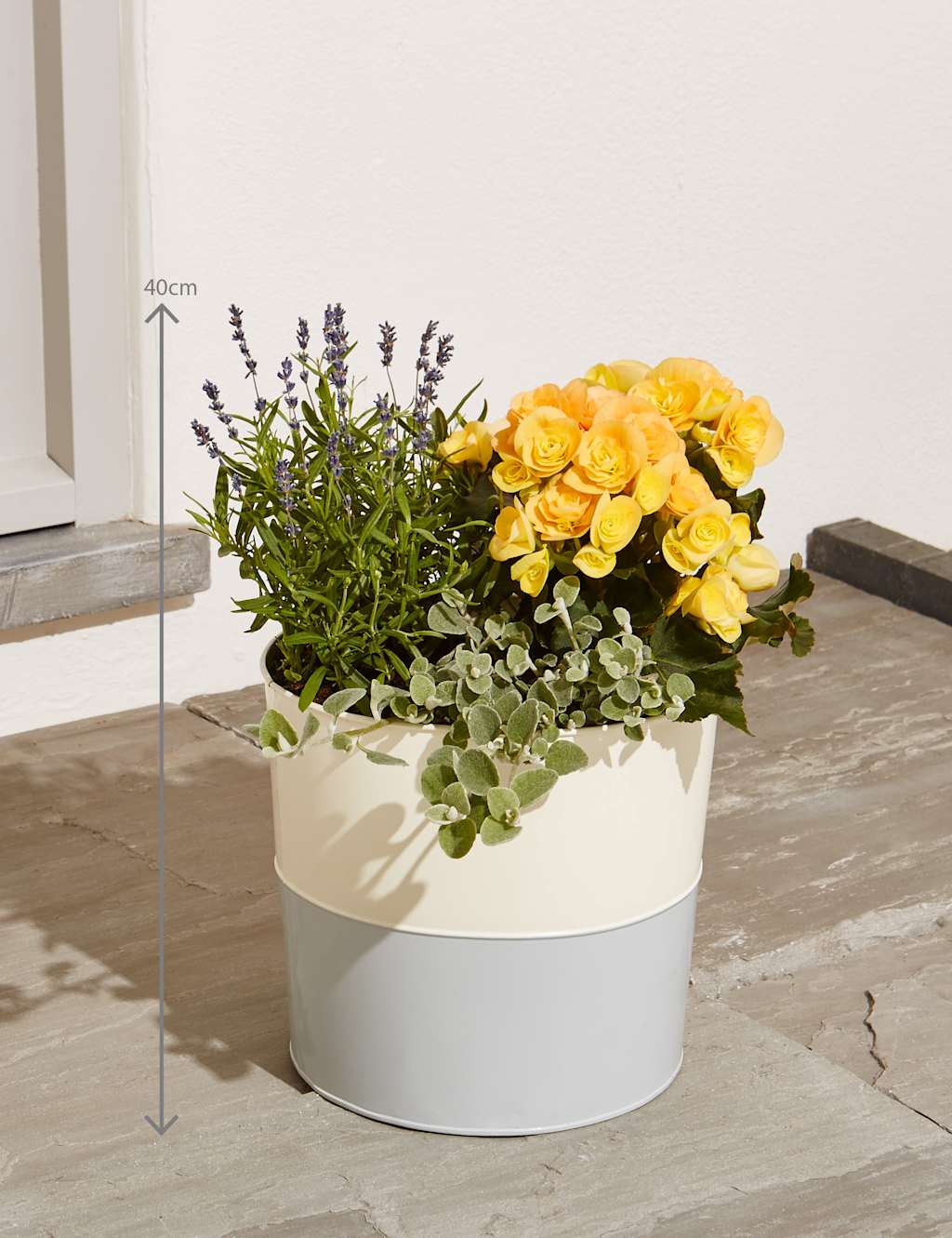 Chelsea Planter 3 of 5