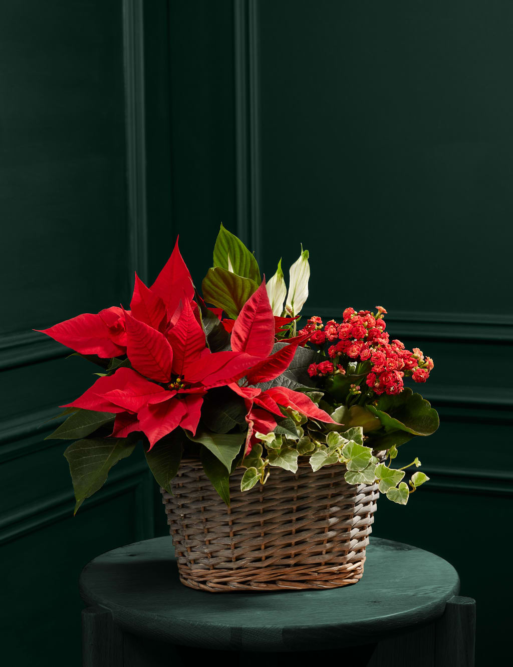 M and s xmas flowers discount