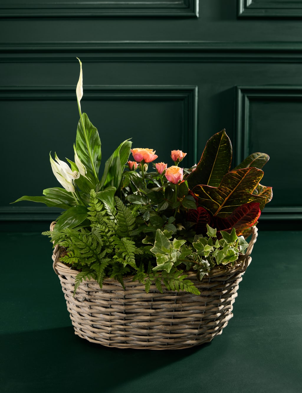 Autumn Luxury Flowering Basket 3 of 3