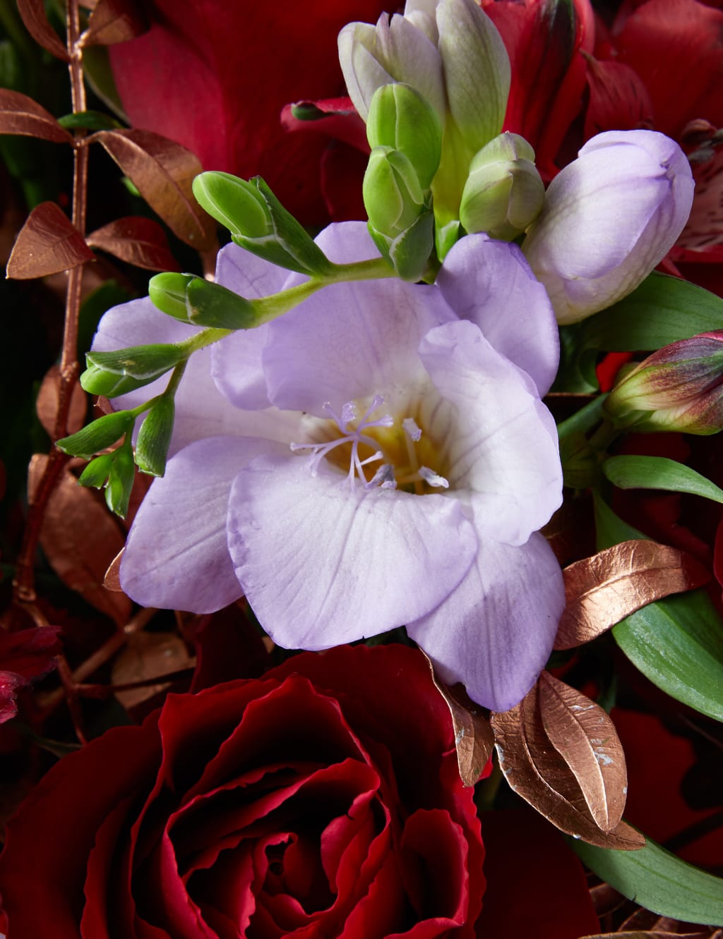 Christmas Rose & Freesia Gift Bag 5 of 7