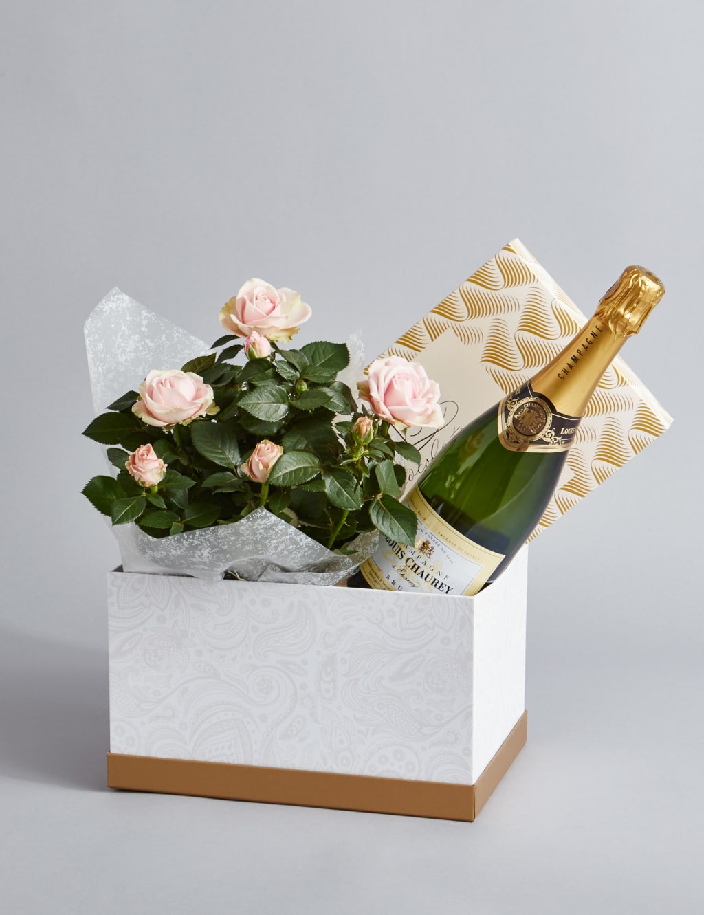 Champagne, Rose Plant & Swiss Chocolate Hamper (Available until 2nd May) 1 of 6
