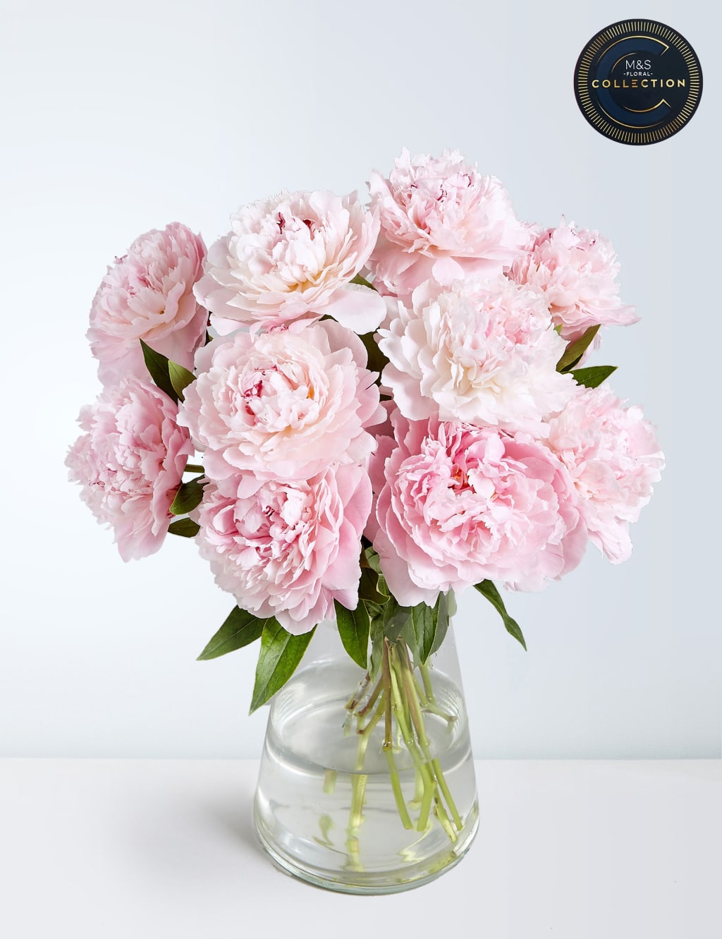 Collection Peonies 1 of 5