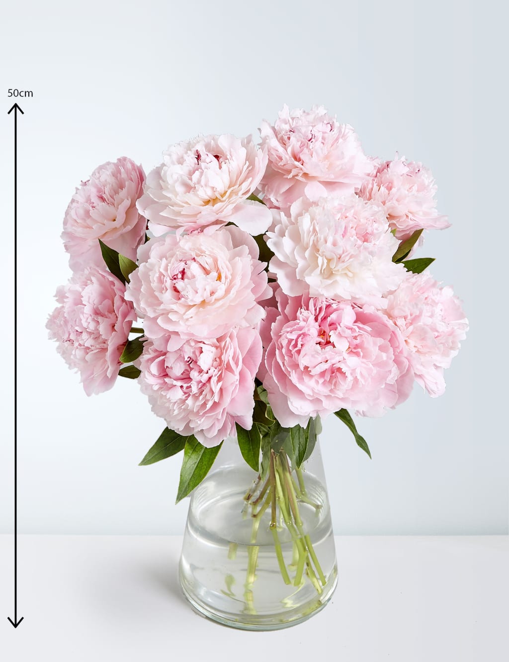 Collection Peonies 3 of 5