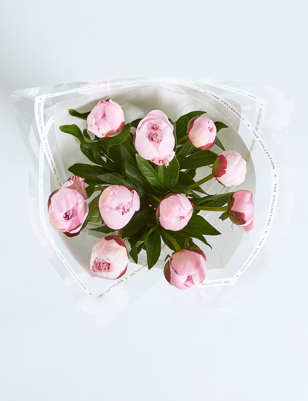 Collection Peonies 4 of 5