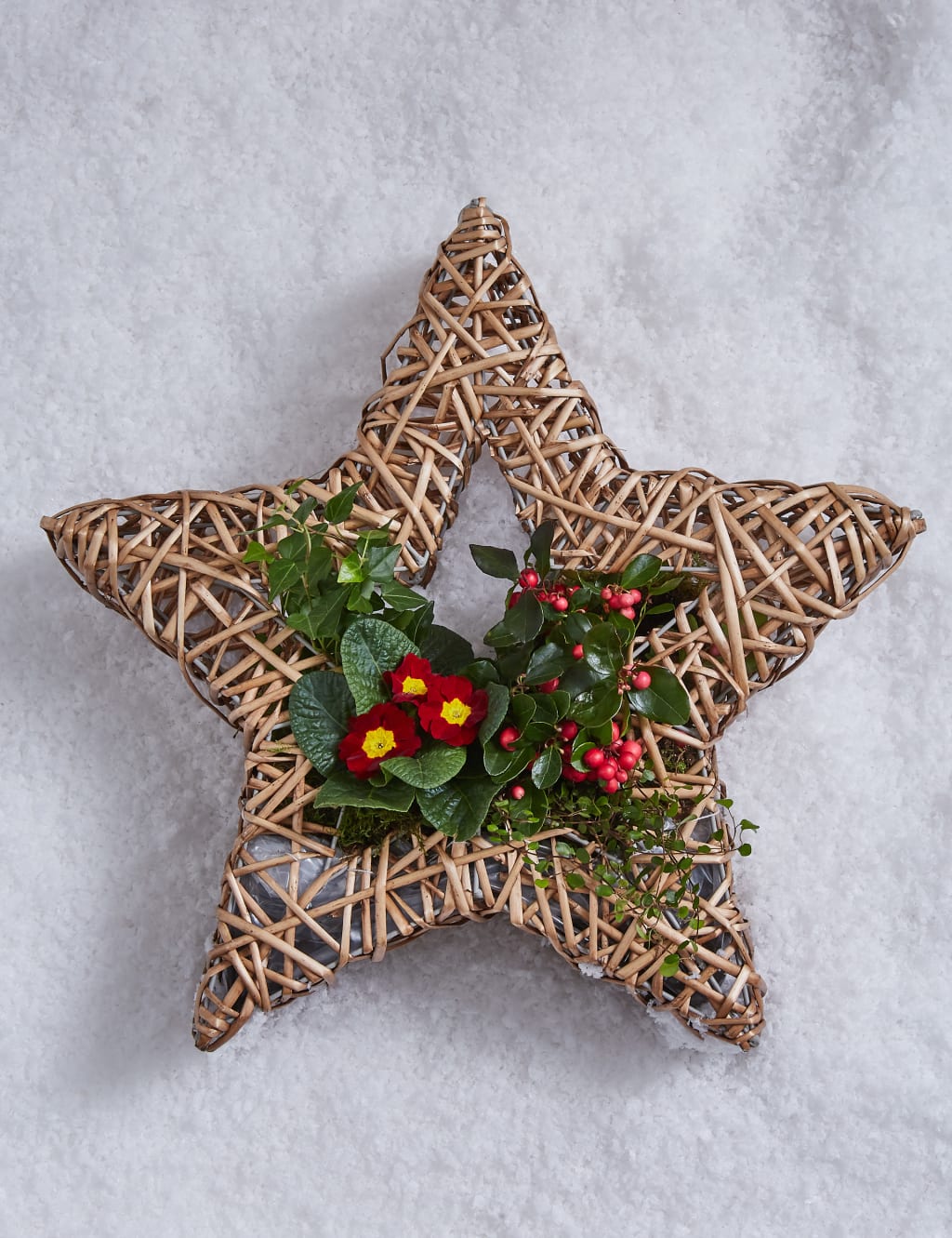 Decorative Doorstep Star 4 of 5