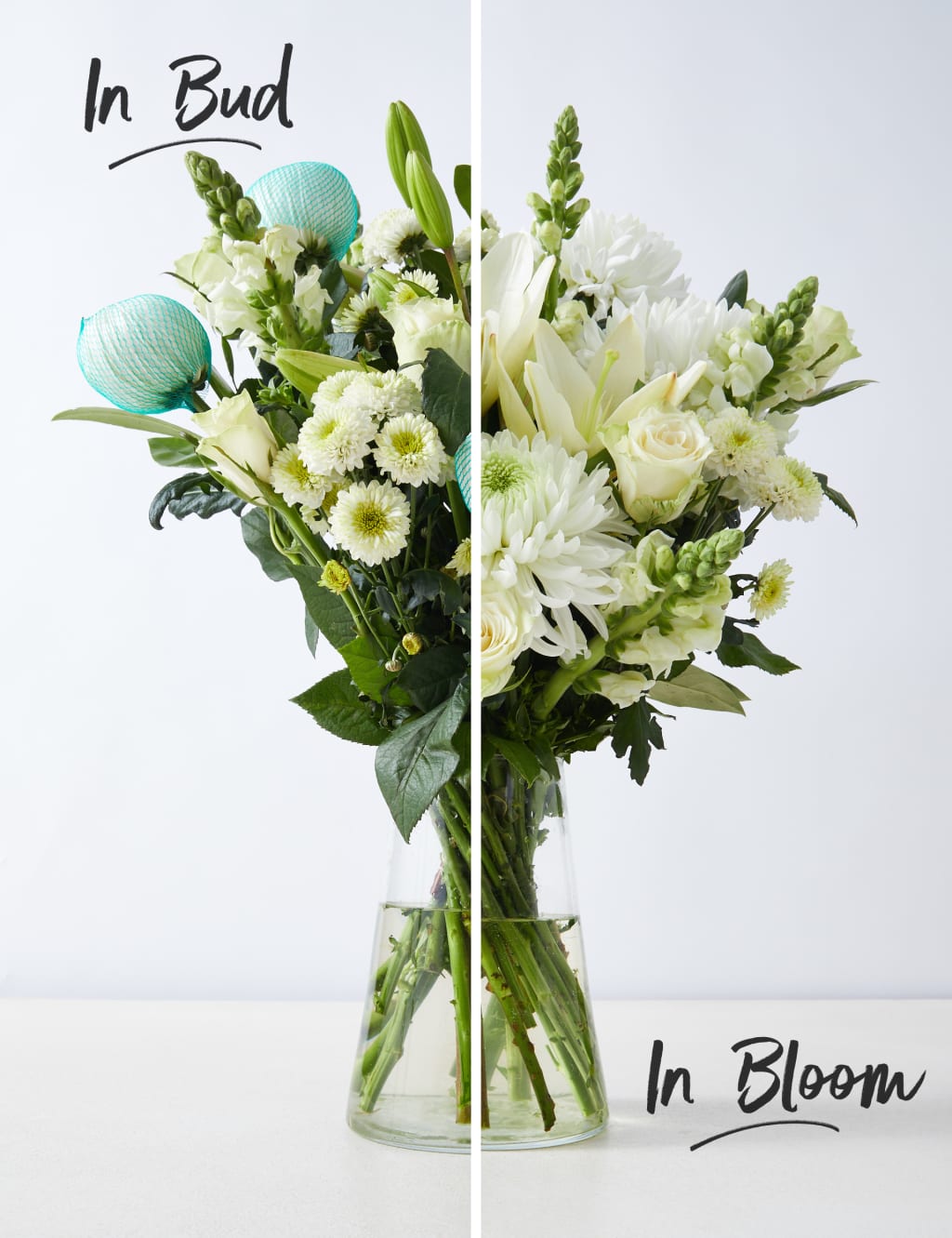 Serene Bouquet 3 of 6