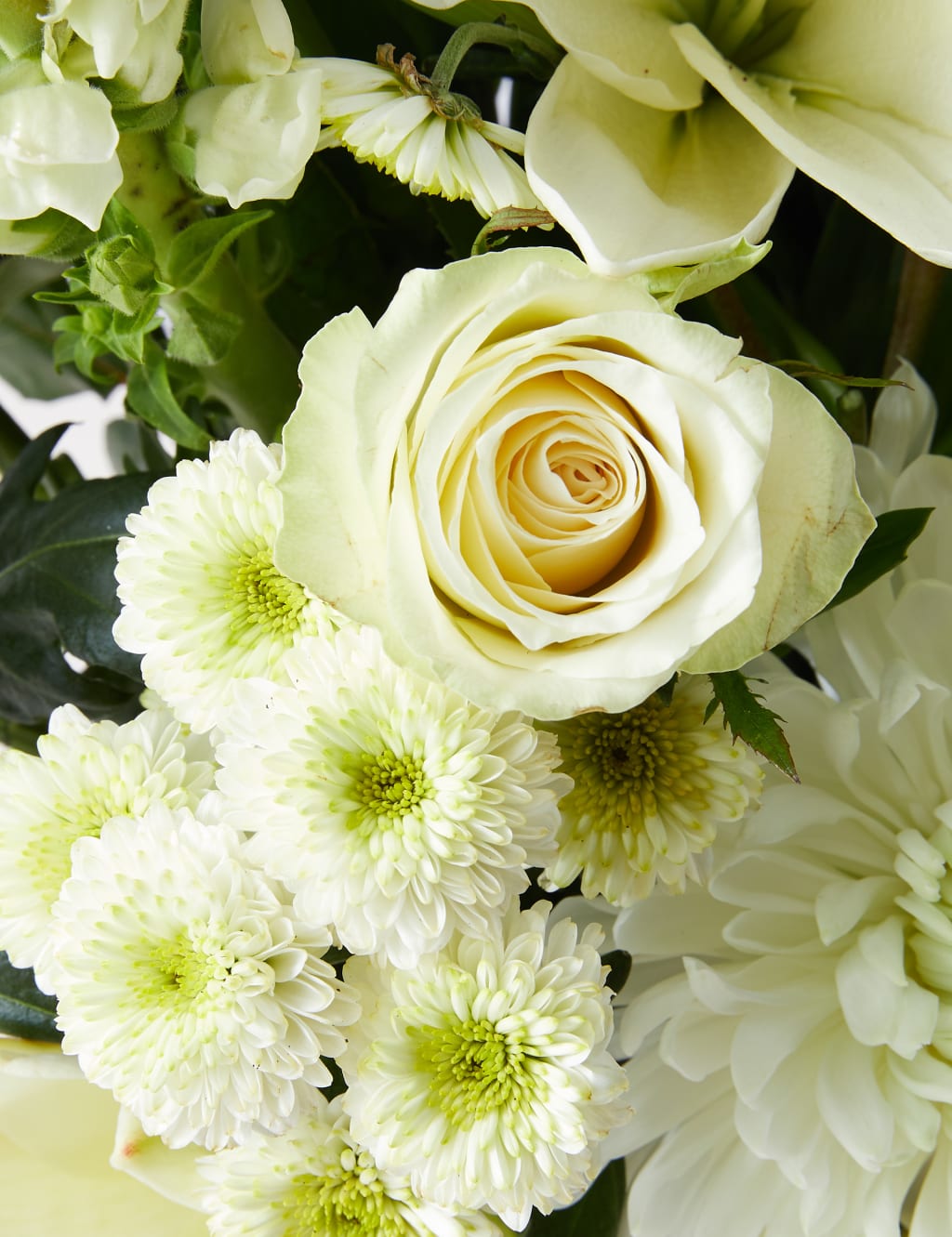 Serene Bouquet 5 of 6