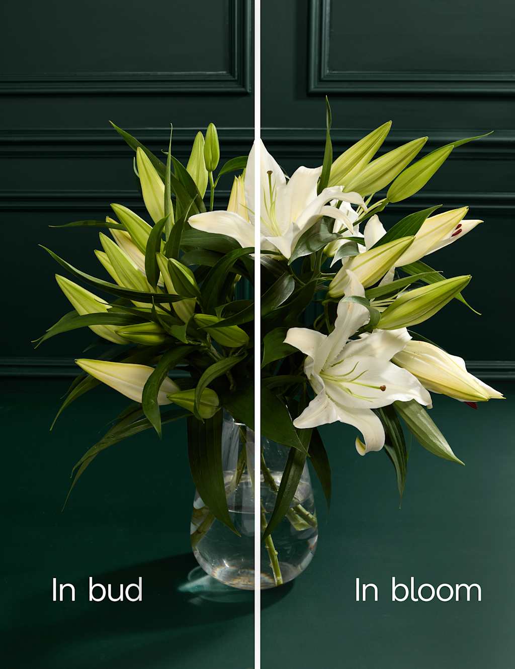 White Oriental Lily Abundance Bouquet 4 of 6
